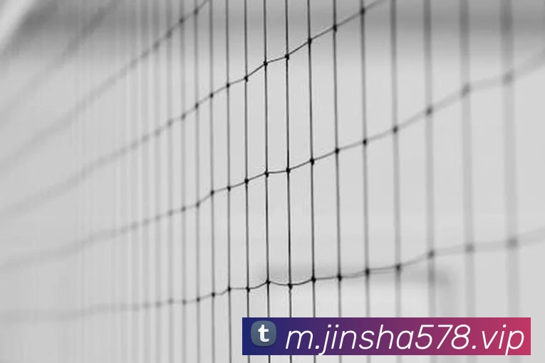 澳门金沙娱乐APP 高清赛事图